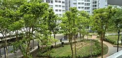 Blk 664A Waterway Sunbeam (Punggol), HDB 3 Rooms #568285651